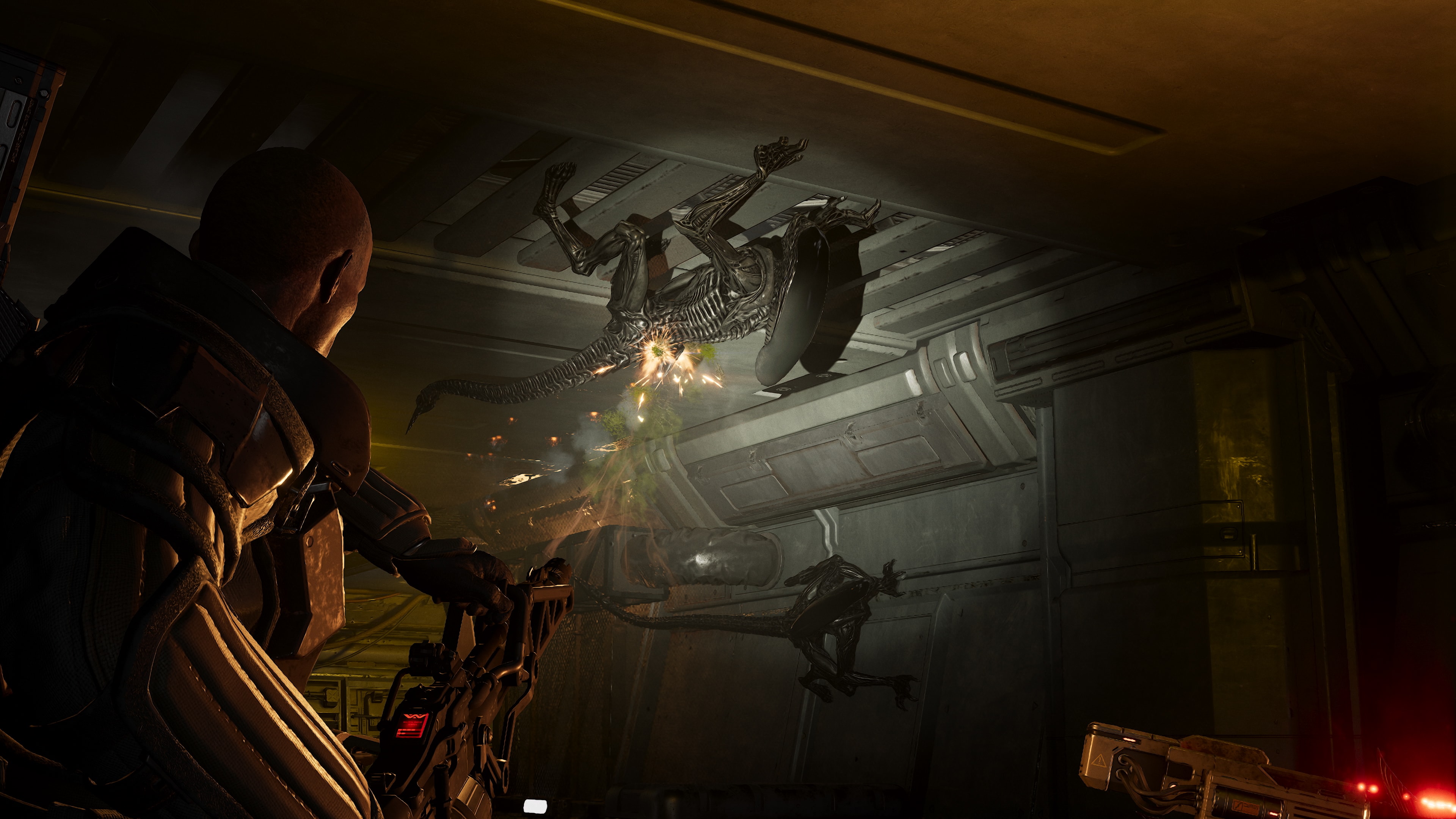 Third-person fireteam view from an official screenshot